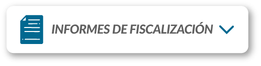 Informes de fiscalizacion