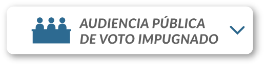 Audiencias Publicas Impugnadas JEE