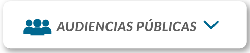 Audiencias Publicas