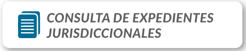 Consulta de Expedientes Jurisdiccionales