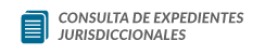 Consulta de Expedientes Jurisdiccionales